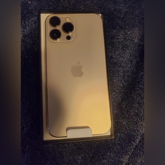 IPHONE 12 PRO MAX 256GB GOLD - Picture 3 of 7